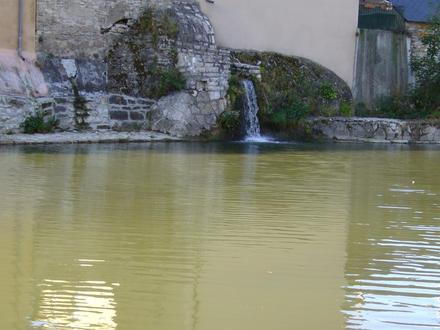 Bild von Mende Bild von Mende