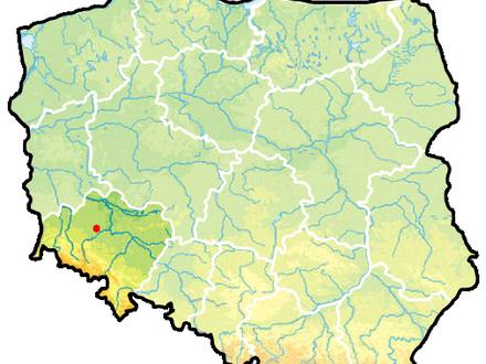 Immagine Miłkowice