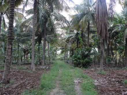 Image of Dadaga Image of Dadaga