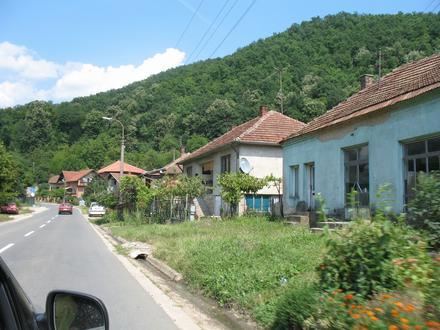 Slika Mosna