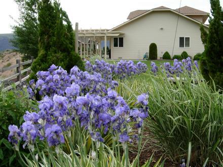 Image of Quincy, Washington