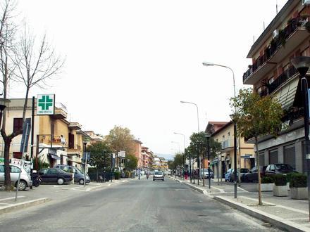 Immagine Pavona Immagine Pavona