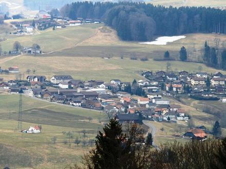 Imagen de Zumholz