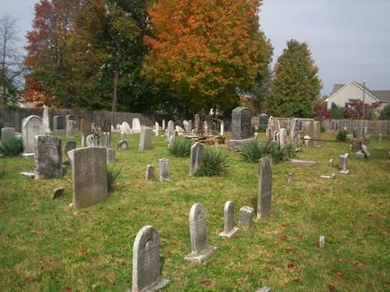 Imagen de Middlebush