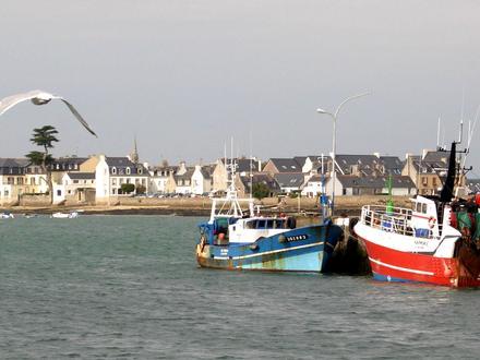Immagine Île-Tudy Immagine Île-Tudy