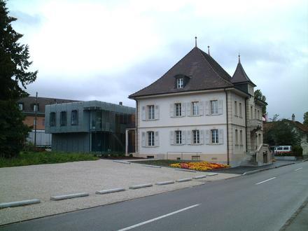Bild von Schmitten FR