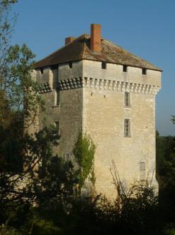 Immagine Les Pins Immagine Les Pins