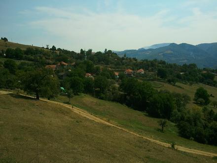 Slika Veseniće Slika Veseniće
