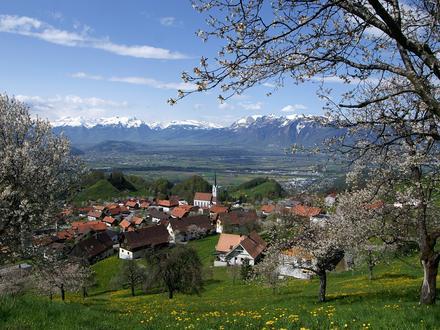 Image of Fraxern Image of Fraxern