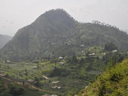 Bild von Malam Jabba Bild von Malam Jabba