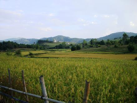 Image of Phonsavan Image of Phonsavan