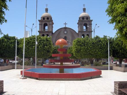 Imagen de Palpa