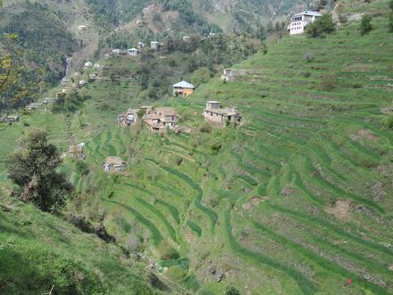 Image of Kabal, Tehsil