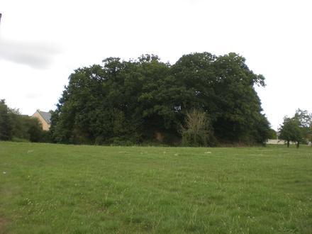 Imagen de Bédée