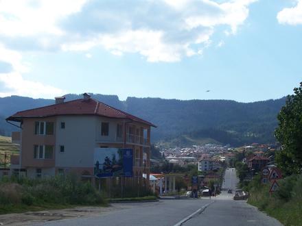 Borino Image