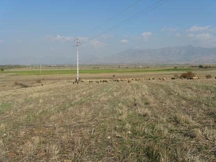 Image de Alintsi