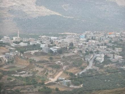 Image of Urif Image of Urif