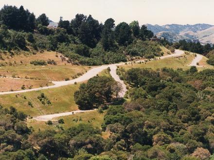 Bild von Orinda