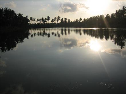 Image of Korukollu
