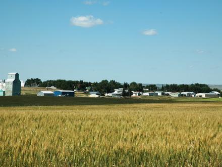 Image of Milo, Alberta Image of Milo, Alberta