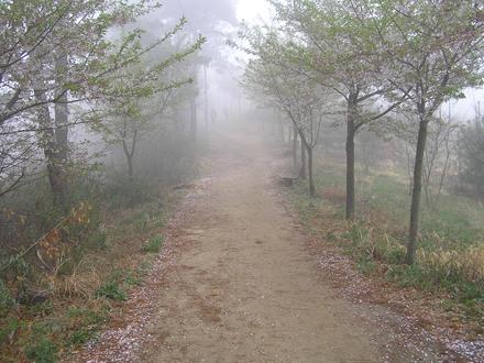 Nonsan Resmi Nonsan Resmi