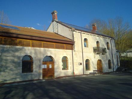 Image de Araia