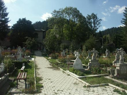 Bild von Kloster Voroneț