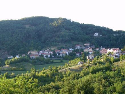 Image of Morbello Image of Morbello
