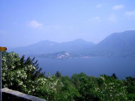 Immagine Ghiffa Immagine Ghiffa