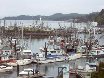 Bild von Port Hardy
