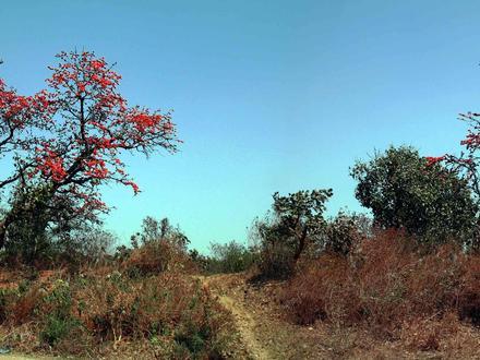 Image of Sitarampur Image of Sitarampur