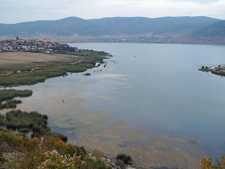 Image of Dolna Gorica