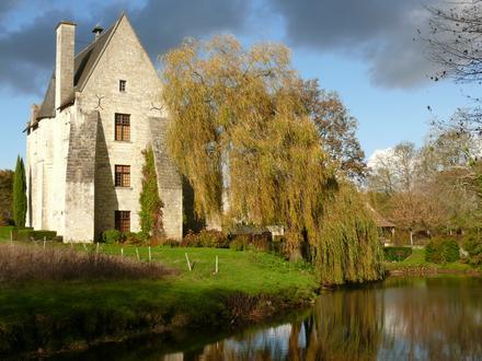 Imatge de Saint-Benoît-la-Forêt