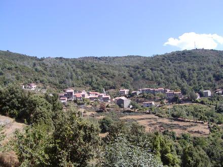 Bild von Frasseto Bild von Frasseto