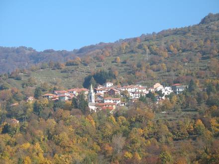 Bild von Propata Bild von Propata