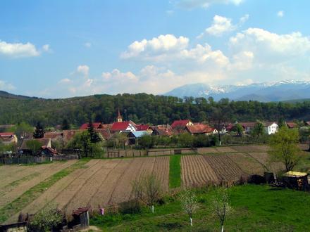 Bild von Tălmaciu Bild von Tălmaciu
