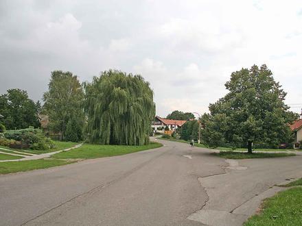 Bild von Mžany Bild von Mžany