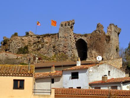 Immagine Querol Immagine Querol