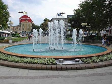 Marinka Image