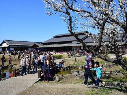 知多市の画像