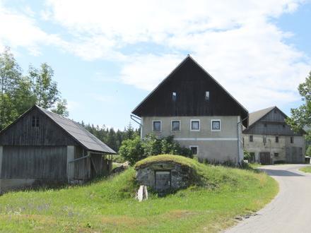 Slika Idrijski Log