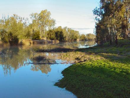 Image of Mitchell, Queensland