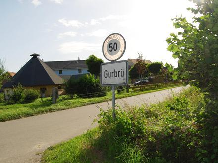 Bild von Gurbrü