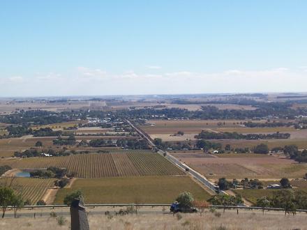 Bild von Tanunda