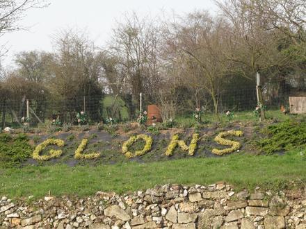 Image of Glons