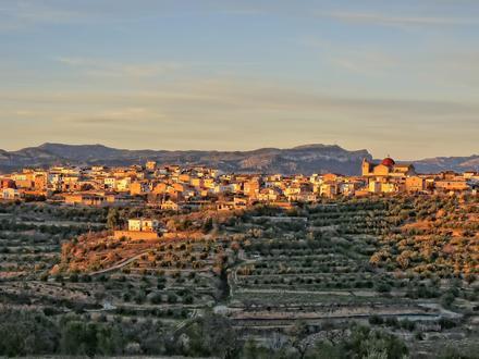 Bild von El Masroig Bild von El Masroig