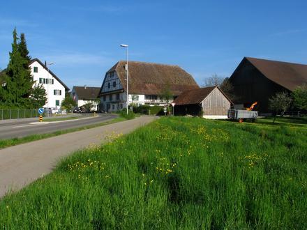 Bild von Rümlang