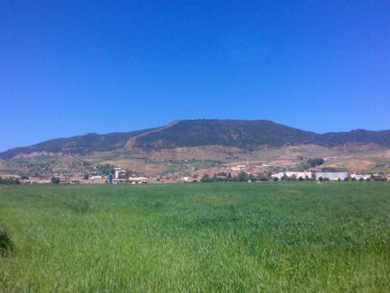 Image of El Amra Image of El Amra