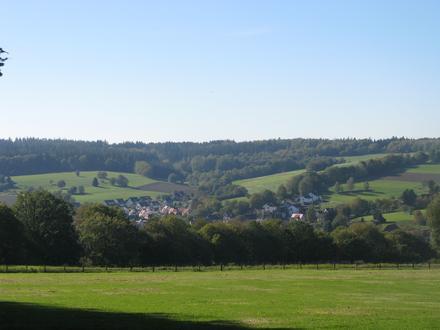 Afbeelding van Wiesen (Neder-Franken)