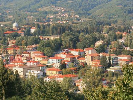 Immagine Bedonia Immagine Bedonia